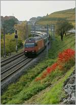 The SBB Re 460 092-1 with an IR by Rivaz.