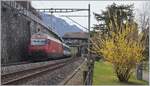 The SBB Re 460 009-4 with an IR by th Castle of Chillon.