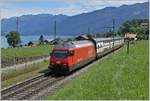 A SBB Re 460 with his IC 972 from Interlaken Ost to Basel SBB by Faulensee.