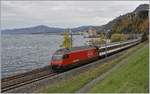 A SBB Re 460 wiht his IR 90 by the Castle of Chillon on the way to Brig. 

21.10.2020
