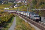 Re 460-100-1 in SF special colors at Bossiere:    Date: 28/10/2010