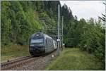 The BLS Re 4654 002 with a RE from Bern to La Chaux-de-Fonds near Les Hauts Geneveys. 

12.08.2020