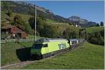 The BLS Re 465 002 is traveling near Enge in the Simmental with its GoldenPass Express GPX 4065. The BLS Re 465 takes the train from Interlaken to Zweisimmen, where the re-gauged train is then taken over by a MOB locomotive and will travel to Montreux.

Oct 7, 2023