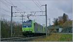 The BLS Re 485 001 and an other one with A RoLa near Muelenen.