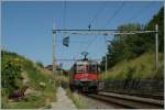A picture from the walking way Grandvaux Bossire: SBB Re 6/6 11650 on the way to Lausanne.