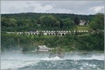 A Re 6/6 wiht a Cargo train by Neuhausen near the Rheinfall.
18.06.2016