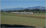 A SBB ICN RABe 500 on the way from Genève to Rorschach on highspee line Solothurn Wanzwil - (Rothrist) by Bolken.