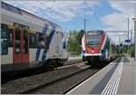 SBB Lémans Express Trians in Satigny.