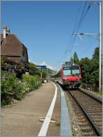A Domino as local Train 5153 from Neuchtel to Biel/Bienne by his is stop in Ligerz.
31.07.2013