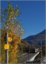 Walking way and Railway by Leuk wiht an SBB CFF TMR Dominoon the way to Sion.
26.10.2015