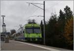 The BLS local train 5576 in Büren an der Aare. 
15.11.2014
