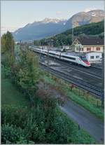 The SBB RABe 503 013-7  Wallis Vailais  from Geneva to Venice in St-Triphon.
