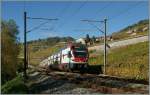 A SBB RABe 511 on the way to Vevey by Epesses.
28.10.2013