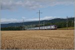 Summer on the Lausanne - Geneve line: A RABDe 511 near Perroy.