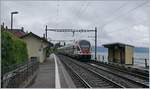 The SBB RABe 511 103 on the way to Geneva by St Saphorin. 

11.05.2020