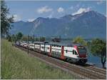 The SBB RABe 511 026 near Villeneuve is the RE service from St Maurice to Annemasse.

08.05.2020