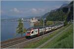 The SBB RABE 511 119 and an other one on the way to St Maurice by the Castle of Chillon. 

20.09.2020