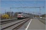 A SBB RABe 511 on the way to Annemasse in Roche VD. 

17.03.2020