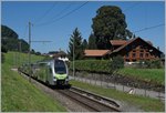 A BLS RABe 515 001  Mutz  by Faulensee.
14.08.2016