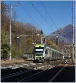 A BLS RABe 535  Lötschberger  on the way to Bern in Preglia.