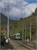 The BLS RABe 535 102 Lötschberger on the way to Domodossola in Varzo.