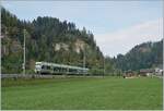 A BLS RABe 535 Lötschberger way to Lucerne shortly after Trubschachen in the border area between Emmetal and Entlebuch.

Oct 1, 2020