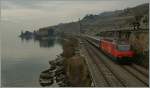 A typical winter day on the Lavaux area; Re 460 with an IR to Brig between Rivaz and St Saphorin. 

25.02.2012