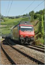 Re 460 089-6 with IC to St Gallen between Bossiere and Grandvaux.