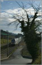 A old tree and a new train; a SBB RABe 511 on the way to Genve near Bossire.
04.01.2013