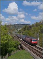The SBB Re 460 007-8 with the IC 725 to St Gallen between Bossière and Grandvaux.
23.04.214  