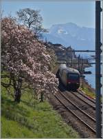 Early spring impressions in the Lavaux Area: Re 460 with IR by Rivaz.