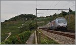 The SBBV Re 460  Welcom to Japan  by Grandvaux.