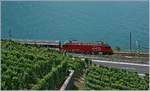 A SBB Re 460 with an IR between vineyards and lac by St Saphorin.