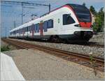A smal flower on the platform in Grandvaux and in the backgroud the SBB RABe 523 013 on the way to Palözieux.

02.06.2014