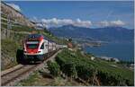 Works on the line: The Lausanne - Puidoux lines is closed an the Trains runs via Vevey.