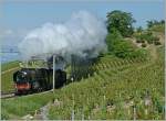 The SNCF 241-A-65 in the Vineyard between Bossire and Grandvaux. 
31.05.2009
