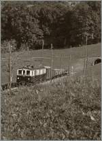 MOB'stalgie: The FZe 6/6 2002 with a Cargo Train is approaching Cornaux.