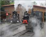 The G 3/3 (JS/BAM) and G 2/2  Ticinio  in Chaulin.
10.05.2018