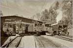50 years Blonay -Chamby Railway - Mega Bernina Festival (MBF): The Parade of the Bernina Railway in Chamby.