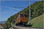 50 years Blonay -Chamby Railway - Mega Bernina Festival (MBF): The Bernina Bahn Ge 4/4 81 by Sonzier.