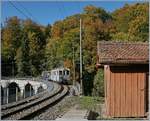 The MOB BCFe 4/4 N° 11 on the way to Chaulin by Vers-chez-Robert. 

14.10.2018