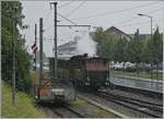 The Blonay-Chamby steamer with the LEB G 3/3 N° 5 is arriving at the Blonay Station.
