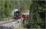The DFB HG 4/4 704 on the way from Realp to Gletsch, here near Oberwald in the wood.