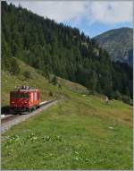 The MGB Gm 4/4 on the way to Oberwald.
16.08.2014