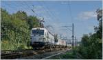 The Rail Care Rem 476 453-6 VAUD (UIC 91 85 4476 43-6 CH-RLC) is leaving Vufflens la Ville on the way to Geneva La Praille.
29.08.2018