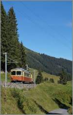 The BLM Be 4/4 23 between Grütschalp and Winteregg. 28.08.2014