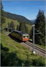 The BLM Be 4/4 31  Lisi  between Grütschalp and Winteregg.