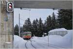The BLM Be 4/4 31 (ex Bipperlisi) on the way from Grütschalp to Mürren is arriving at the  Winteregg Station. 

16.01.2024