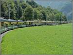 A long BOB train is running between Zweiltschinen and Wilderswil on July 30th, 2008.