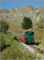 On an beautiful day i pictured the Brienzer Rothorn Bahn train by the Planalp. 
01.10.2012